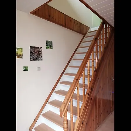 Daire Neu! Morderne Hohenzieritz