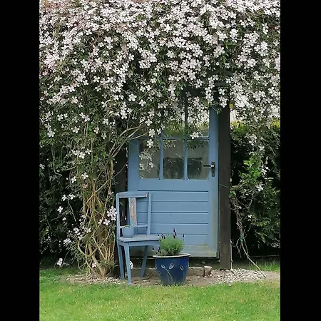 Neu! Morderne Daire Hohenzieritz