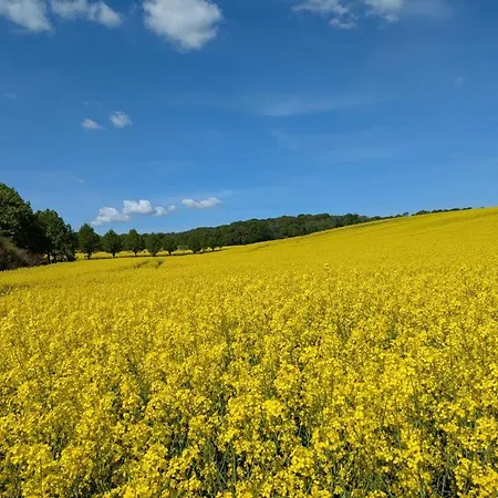 Grosszuegige Mit Viel Platz Zwischen Tollenseesee Und Mueritz *